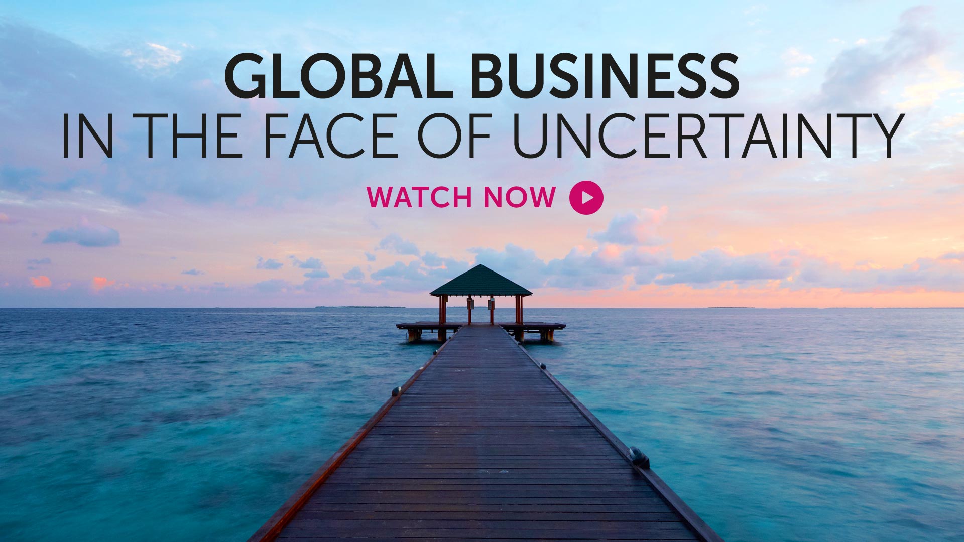 Briefing: Global business in the face of uncertainty